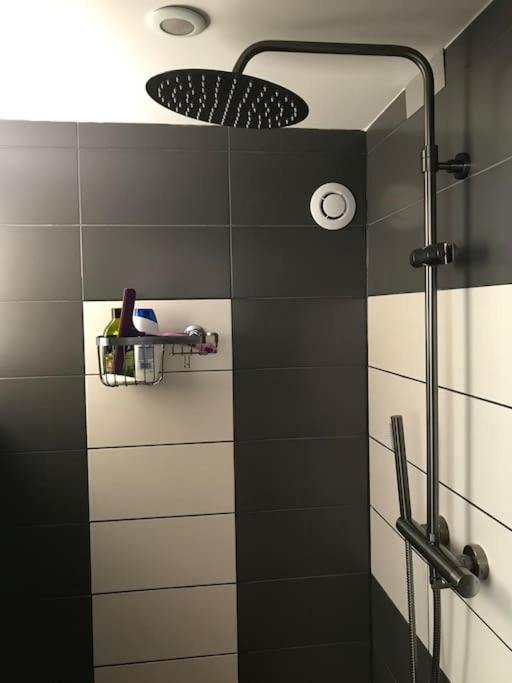 Studio 1 A 4 Pers, Proche Strasbourg, Europa-Park, Colmar Erstein Eksteriør billede